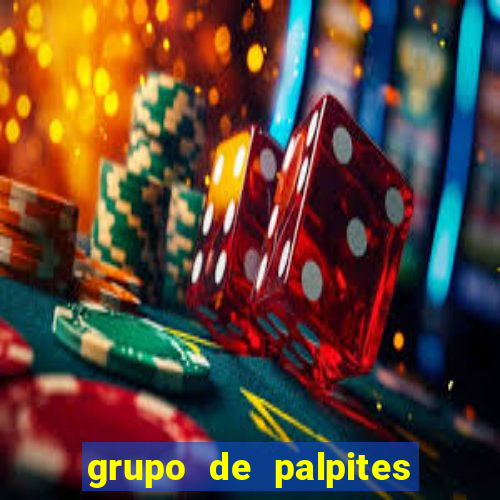 grupo de palpites de futebol whatsapp